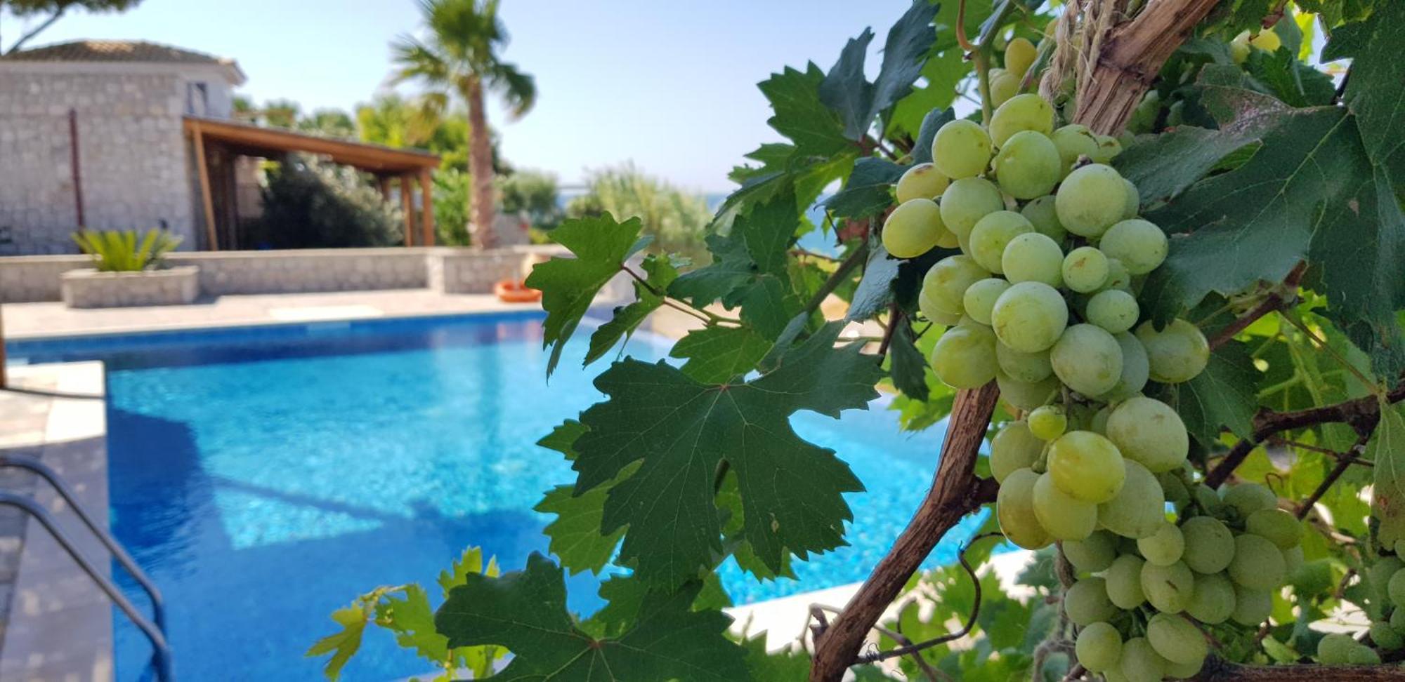 Villa Sealine Pefki Rom bilde